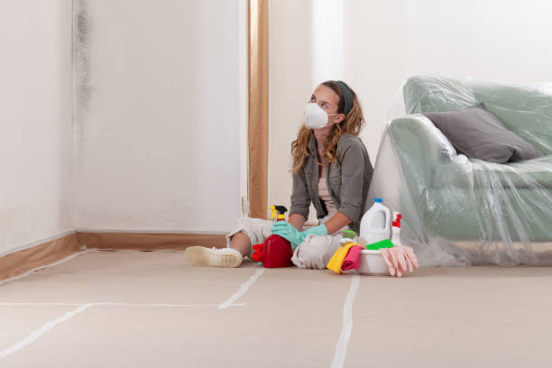 Reliable Mold Remediation contractor in Castleton, VA by WQB Mold Removal